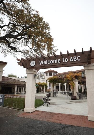 Two chairs on a dock overlooking a pond